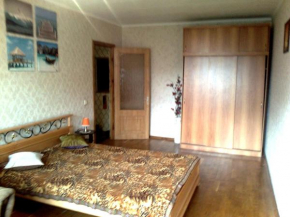Apartment on Lyotnaya, Mytishchi, Mytishchi